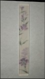 NB3199 Chelsea Floral Frosted Glass Listello 35x250mm - 11.5m²